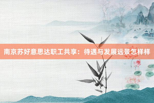 南京苏好意思达职工共享：待遇与发展远景怎样样